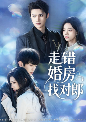 走错婚房找对郎（50集）短剧后续更精彩