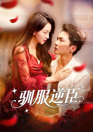 驯服逆臣（80集）一共多少集