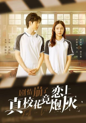 剧情崩了真校花竟恋上炮灰（78集）高分佳作免费看