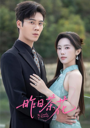 昨日茶花（56集）短剧免费分享