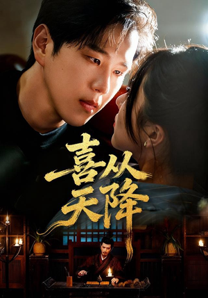 喜从天降(50集) 喜从天降(50集)全集我都看完了