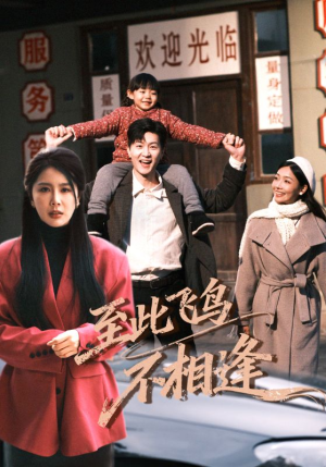 至此飞鸟不相逢（70集）百度网盘资源