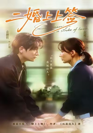 二婚上上签（71集）最火的短剧