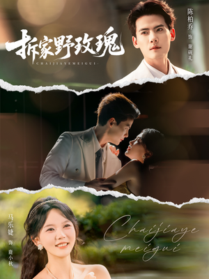 拆家野玫瑰（80集）超甜短剧抢先看