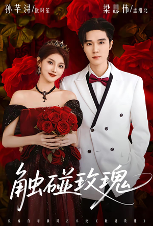 触碰玫瑰（80集）西瓜短剧免费看