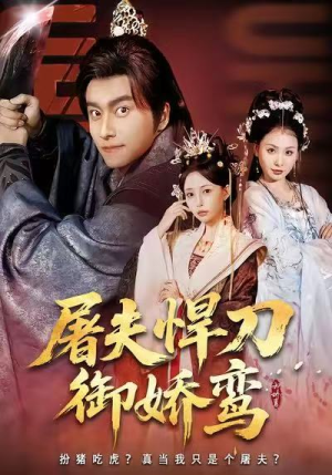 屠夫悍刀御娇鸾（81集）精彩短剧热播中