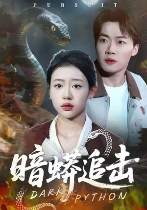 暗蟒追击（35集）热门短剧来袭