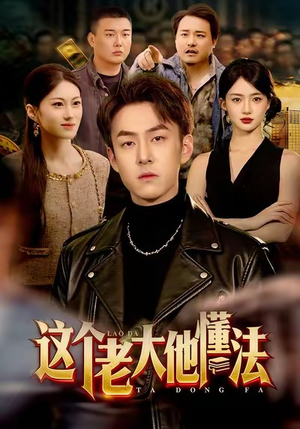 这个老大他懂法(100集) 这个老大他懂法(100集)1-102集