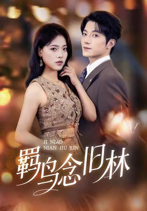 羁鸟念旧林（60集）短剧全集免费