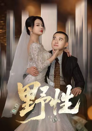 分手后，顶头上司要嫁我（70集）短剧推荐更新中