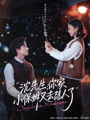 沈先生，你家小保姆又去怼人了（82集）红果免费看短剧