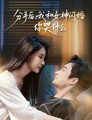 悲欢离合总无情（80集）精彩的短剧