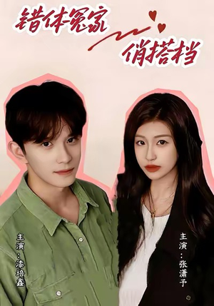错体冤家俏搭档（60集）在线看免费版