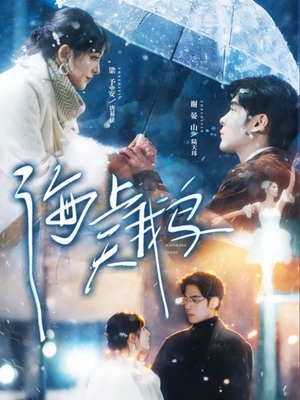 海上天鹅（70集）更新时间一览表