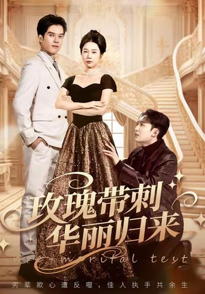 玫瑰带刺华丽归来（83集）男主角是谁