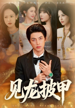 见龙披甲（70集）夸克网盘观看