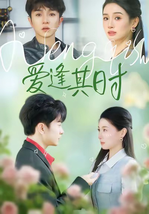 爱逢其时（47集）热门爆款短剧