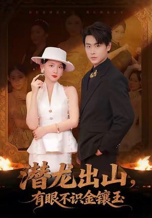 潜龙出山有眼不识金镶玉（78集）夸克网盘观看