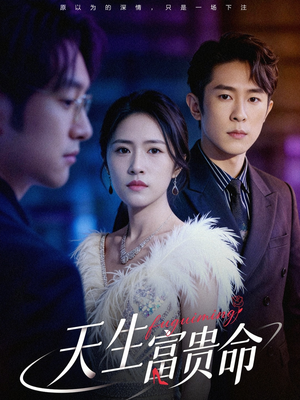 天生富贵命（48集）在线观看