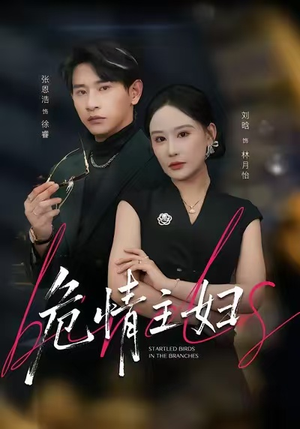 危情主妇（60集）独家资源免费看