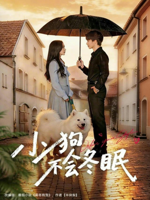 小狗不会冬眠（70集）免费看全集