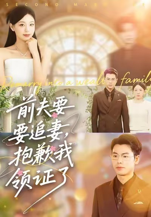 前夫要追妻，抱歉我领证了（81集）大结局太过瘾了