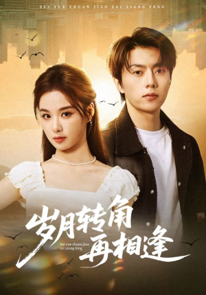 岁月转角再相逢（80集）一口气追完短剧