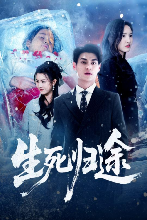 生死归途（50集）短剧排行榜