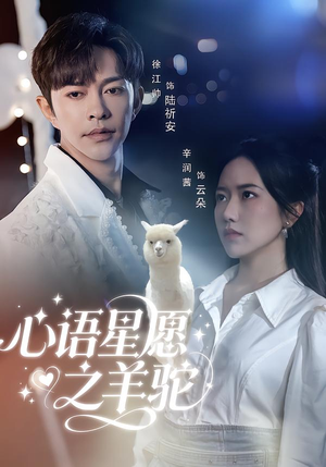 心语星愿之羊驼(60集) 心语星愿之羊驼(60集)在哪个平台看好