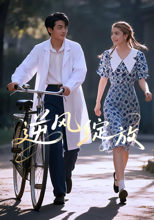 逆风绽放（55集）短剧