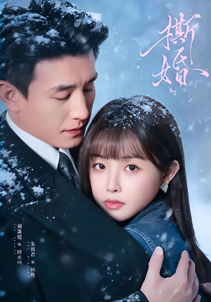 撕婚（23集）免费观看全集