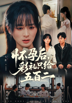 怀孕后，彩礼只给五百二（40集）全网独播免费看