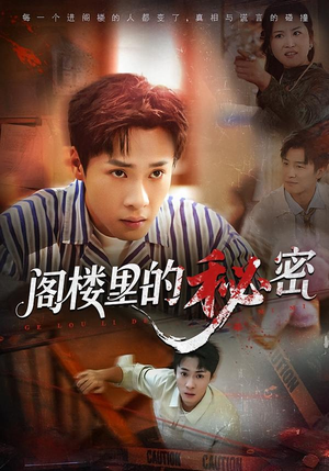 阁楼里的秘密（76集）免费看全网短剧