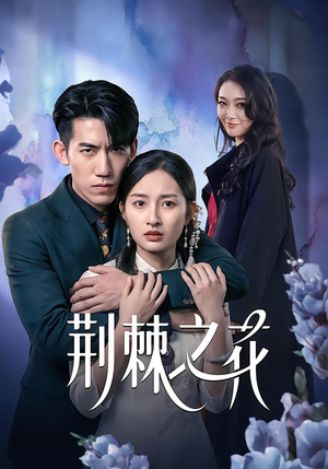 荆棘之花（100集）看到大结局