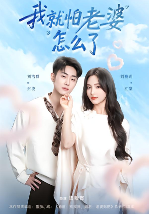 我就怕老婆怎么了(88集) 我就怕老婆怎么了(88集)全集一网打尽