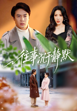 往事沉于静默（70集）精彩短剧天天看