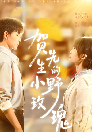 贺先生的小野玫瑰（99集）高清画质免费看