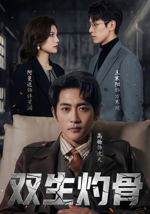 双生灼骨(60集) 双生灼骨(60集)精彩不断免费看