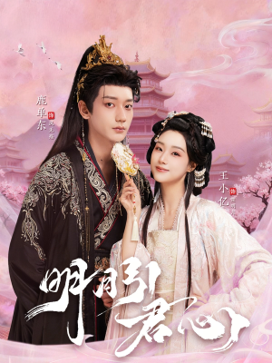 明月引君心(74集) 明月引君心(74集)短剧后续更精彩