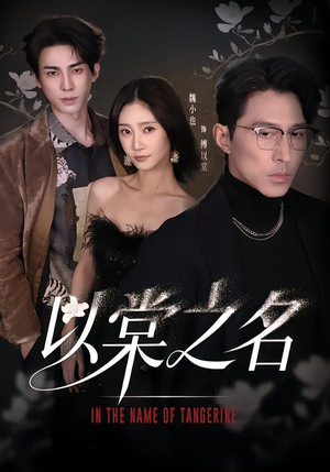 以棠之名（66集）热门短剧推广