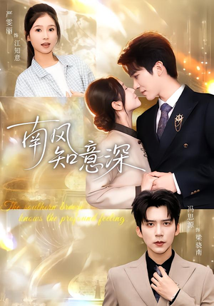 南风知意深（40集）精彩的网络短剧