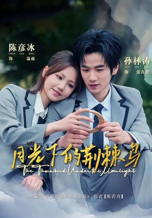 月光下的荆棘鸟（80集）全集完整版