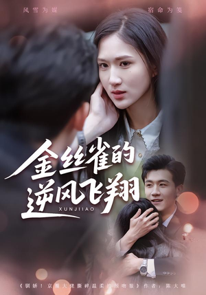 金丝雀的逆风飞翔（80集）新短剧推荐