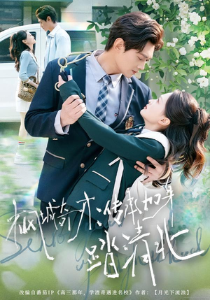 枫城奇才:传承加身踏清北(80集) 枫城奇才:传承加身踏清北(80集)女主角是谁