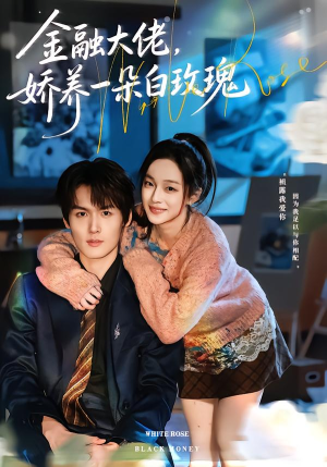 金融大佬，娇养一朵白玫瑰（70集）最新火爆短剧
