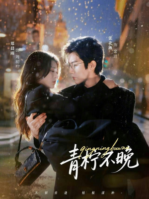 青柠不晚(78集) 青柠不晚(78集)最新热剧免费看