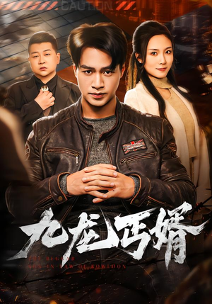 九龙丐婿（81集）追短剧看全集