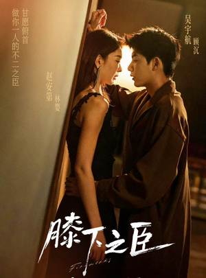 膝下之臣（56集）精彩的短剧