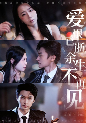 爱恨已逝，余生不再见（68集）短剧也太好看了