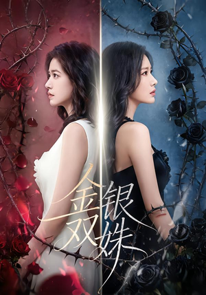 金银双姝（80集）精彩短剧看不停